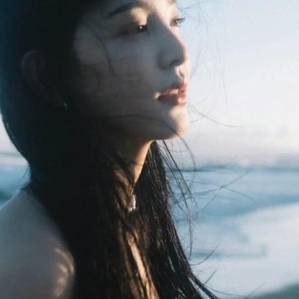 扶摇封面